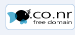 domain gratis .co.nr